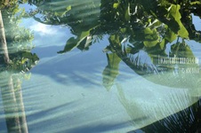 Enlarge photo 34