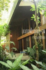 Enlarge photo 38