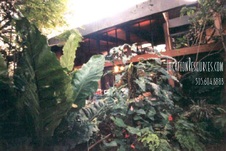 Enlarge photo 40