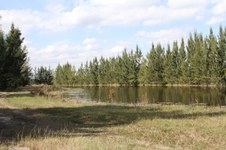 Enlarge photo 30