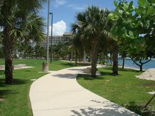 Enlarge photo 99