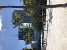 Enlarge photo 189