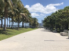 Enlarge photo 276