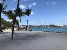 Enlarge photo 184