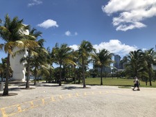 Enlarge photo 260