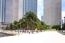 Enlarge photo 193
