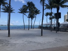 Enlarge photo 183