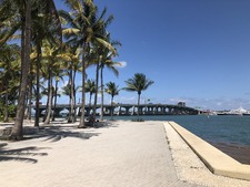 Enlarge photo 265
