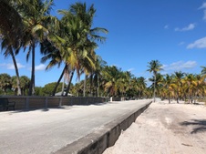 Enlarge photo 163