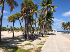 Enlarge photo 157