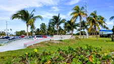 Enlarge photo 62