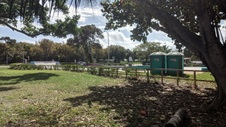 Enlarge photo 46