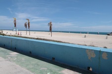 Enlarge photo 175