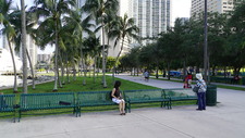 Enlarge photo 205