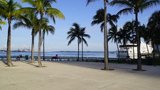 Enlarge photo 206