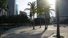 Enlarge photo 203