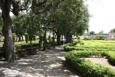 Enlarge photo 83