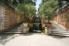 Enlarge photo 85