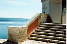 Enlarge photo 92