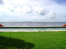 Enlarge photo 74