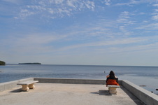 Enlarge photo 73