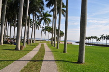 Enlarge photo 71