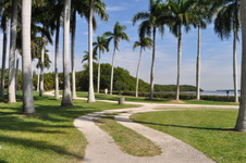 Enlarge photo 69