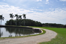 Enlarge photo 67