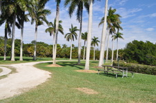 Enlarge photo 65