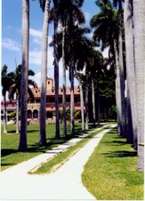Enlarge photo 39