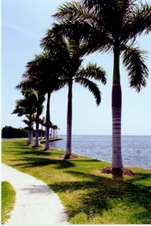 Enlarge photo 40