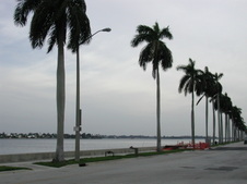 Enlarge photo 42