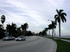 Enlarge photo 44