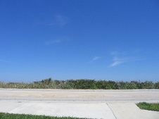Enlarge photo 55