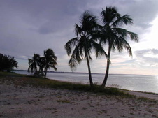 Enlarge photo 47