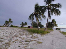 Enlarge photo 49