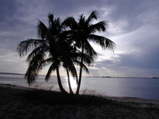 Enlarge photo 50