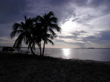 Enlarge photo 51