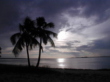 Enlarge photo 52