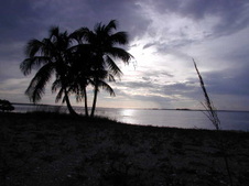 Enlarge photo 53