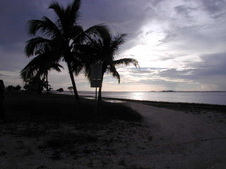 Enlarge photo 54