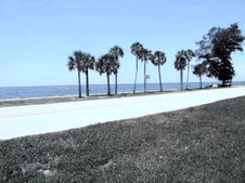 Enlarge photo 25