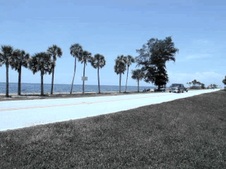 Enlarge photo 29