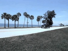 Enlarge photo 30