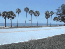 Enlarge photo 31