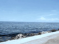Enlarge photo 33