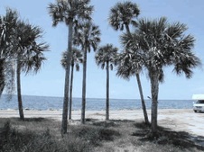 Enlarge photo 34