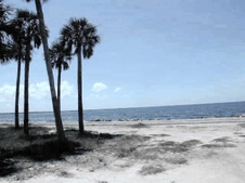 Enlarge photo 35