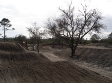 Enlarge photo 57