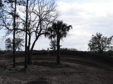 Enlarge photo 61